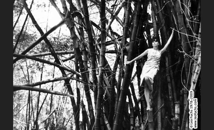 0068 leslie caron father goose in tree forest_c_leo_fuchs_photography_www.leofuchs.com.jpg